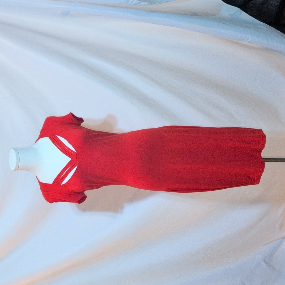 Arts Modell Red Dress